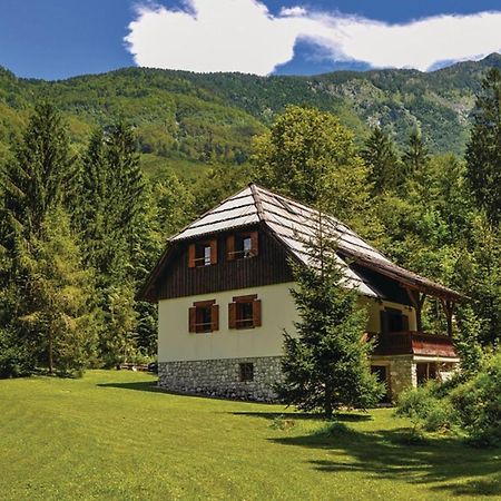 Chalet Primus Near Soca Gorge - Happy Rentals Екстериор снимка