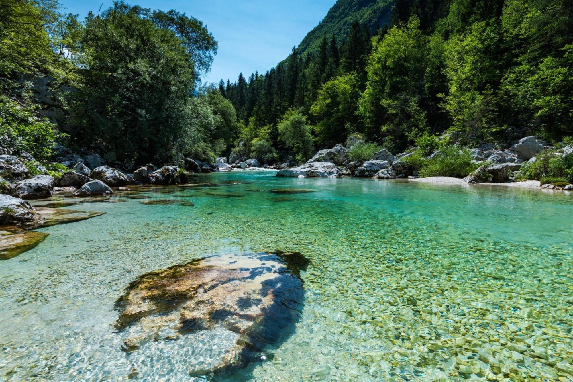 Chalet Primus Near Soca Gorge - Happy Rentals Екстериор снимка