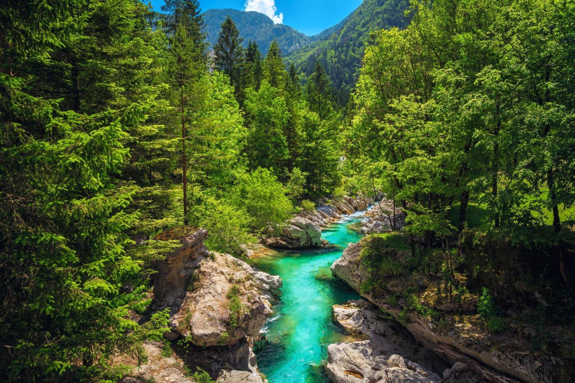 Chalet Primus Near Soca Gorge - Happy Rentals Екстериор снимка